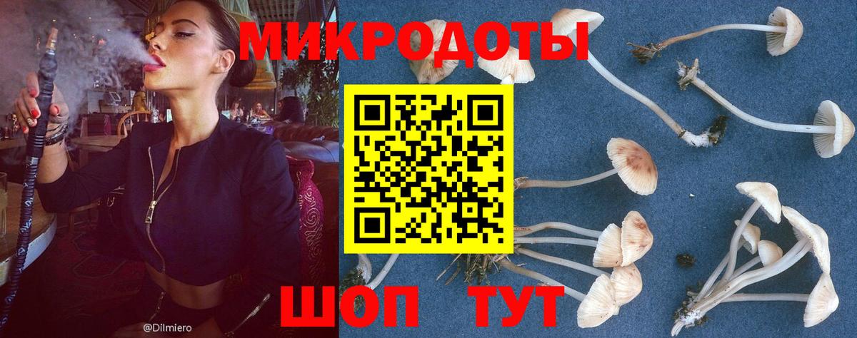 Галлюциногенные грибы Psilocybine cubensis Десногорск